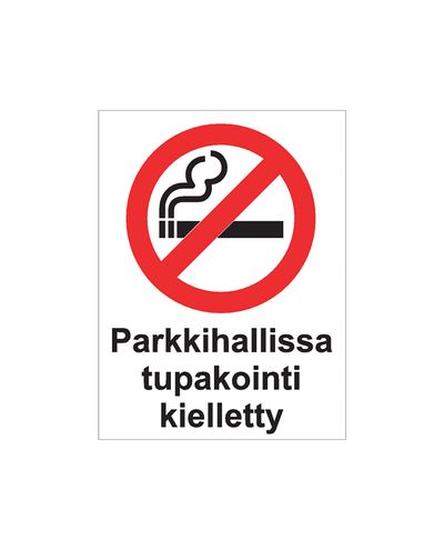 Rökning förbjuden i parkeringsgarage, Klistermärke, 200x300 mm