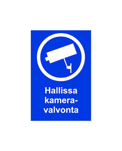 Kameraövervakning i hallen, Klistermärke, 200x300 mm