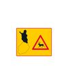 Go to image 1